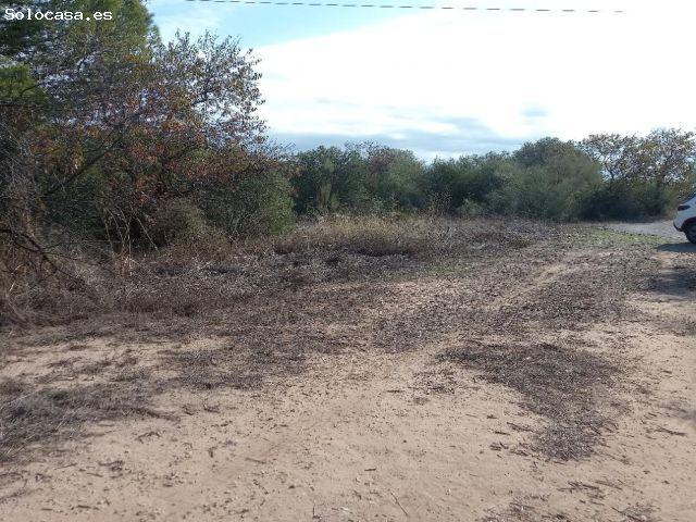 Local Comercial en venta en Ribera d'Ebre, Catalunya