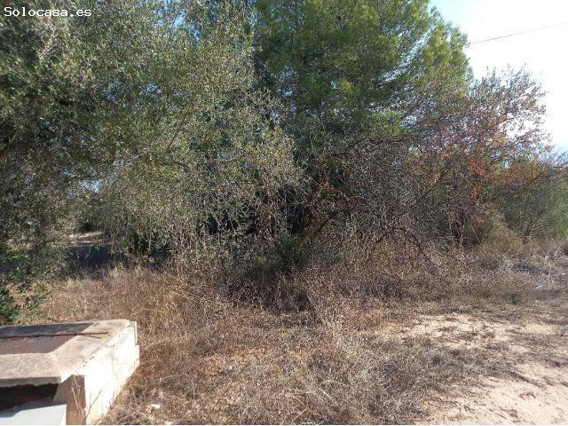 Local Comercial en venta en Ribera d'Ebre, Catalunya