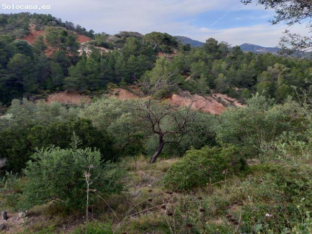 Local Comercial en venta en Terra Alta, Catalunya