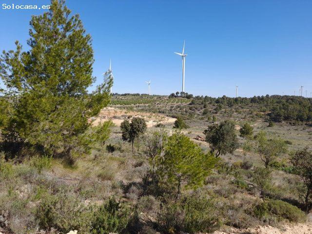 Local Comercial en venta en Gandesa