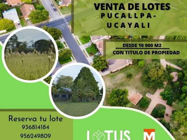Terreno venta en Uca