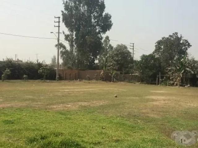 Terreno venta en Puente Piedra Hacienda, Lima Metropolitana
