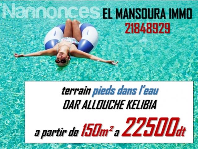Terrain vente
