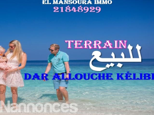 Terrain vente