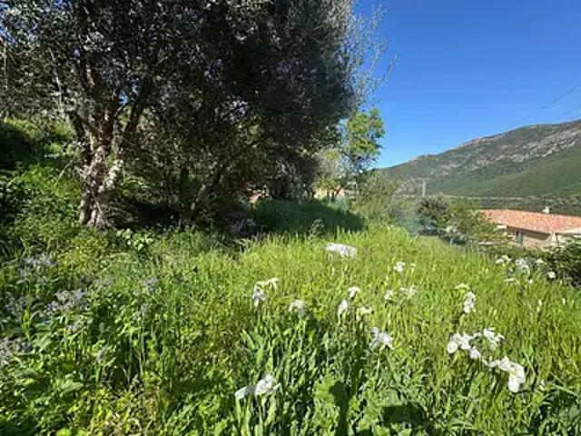 Terrain vente à Calvi, Occhiatana