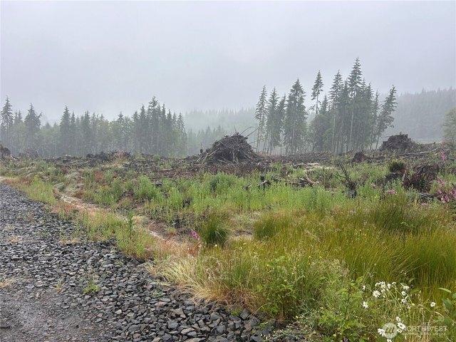 Land for sale in Skamokawa, Washington