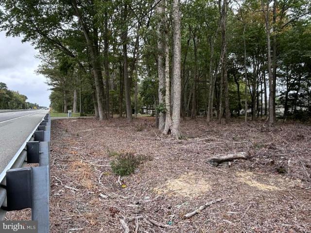 Land for sale in Trappe, Maryland