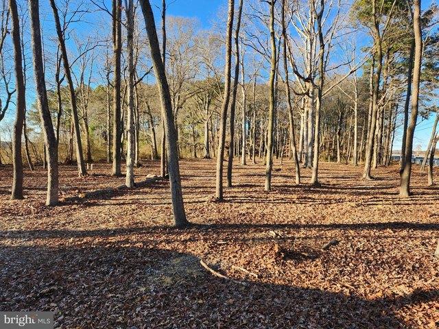 Land for sale in Trappe, Maryland
