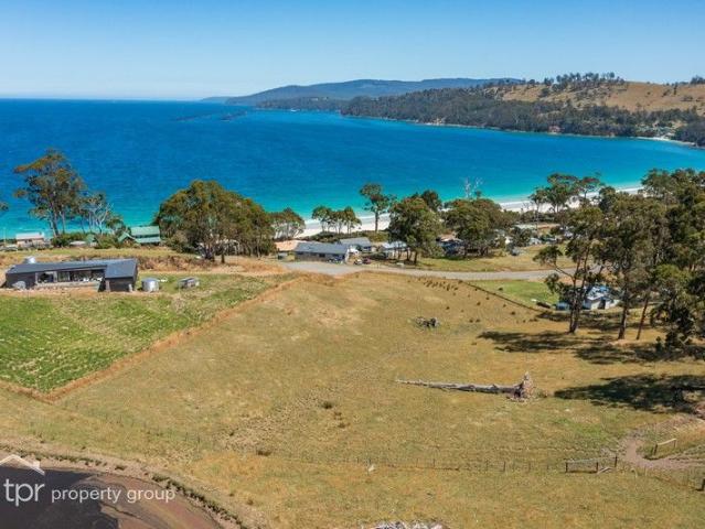Land for sale in Surveyors Bay, Tasmania
