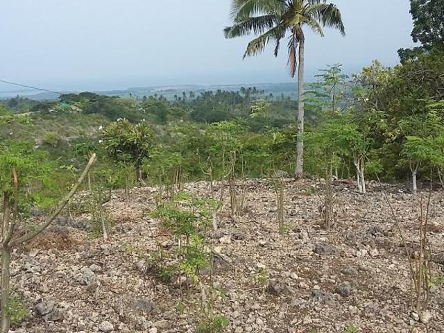 OCEAN VIEW LOT FOR SALE IN SAN CARLOS CITY ID 14808