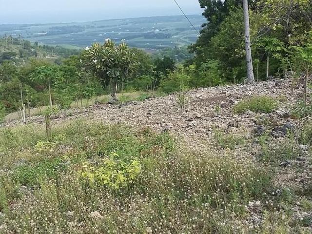 OCEAN VIEW LOT FOR SALE IN SAN CARLOS CITY ID 14808