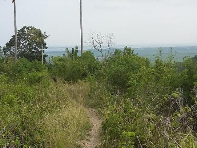 OCEAN VIEW LOT FOR SALE IN SAN CARLOS CITY ID 14808