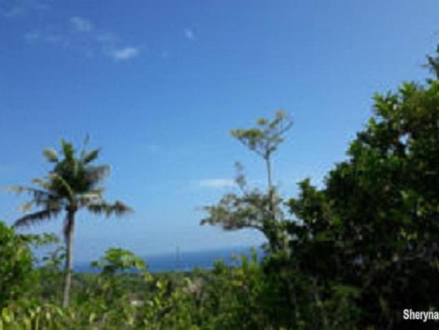 OCEAN VIEW LOT FOR SALE IN SIQUIJOR SIQ0047