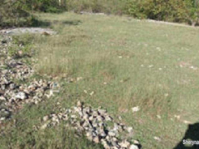 OCEAN VIEW LOT FOR SALE IN SIQUIJOR SIQ0047