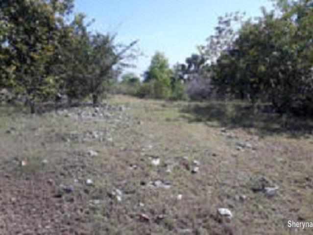 OCEAN VIEW LOT FOR SALE IN SIQUIJOR SIQ0047