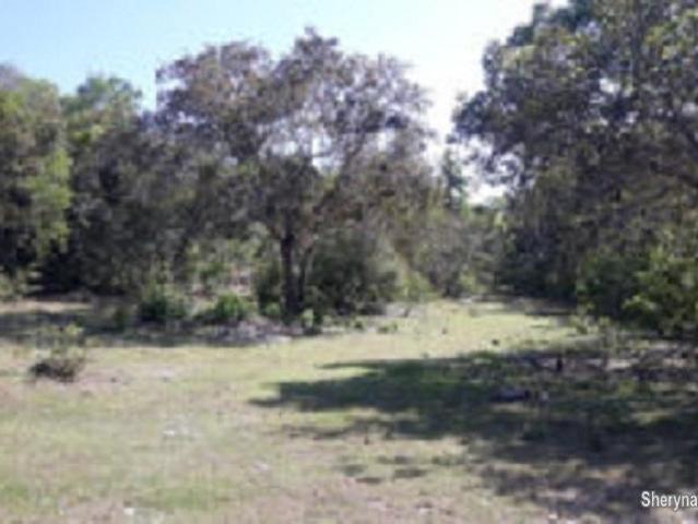 OCEAN VIEW LOT FOR SALE IN SIQUIJOR SIQ0047