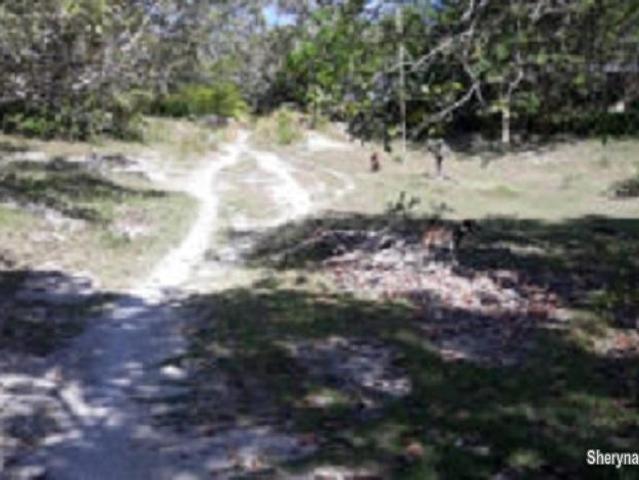 OCEAN VIEW LOT FOR SALE IN SIQUIJOR SIQ0047