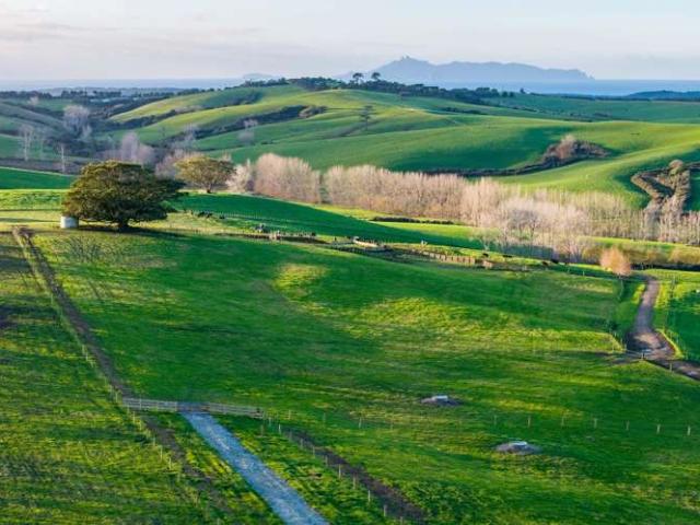 Property for sale in Te Ārai, Rodney