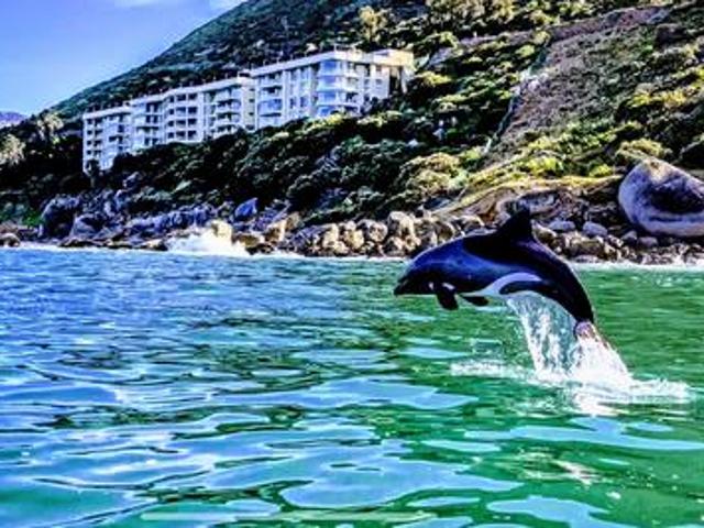 Apartment for rent in Hout Bay, Western Cape