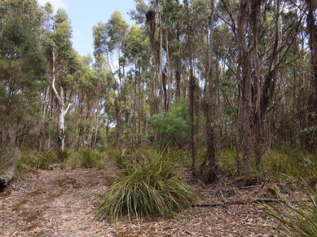 Cottage for sale in Whitemark, Tasmania