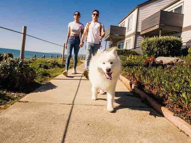 Apartment for rent in San Mateo, California