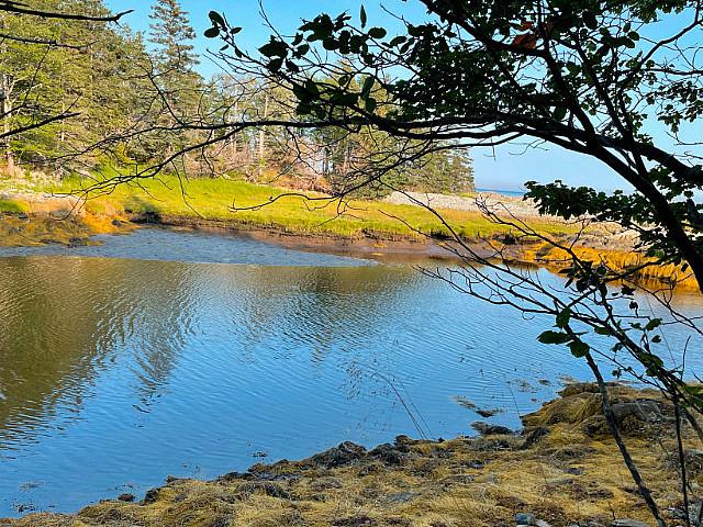 Land for sale in Moncton