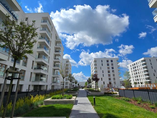 Mieszkanie do wynajęcia w Katowice, Śląskie