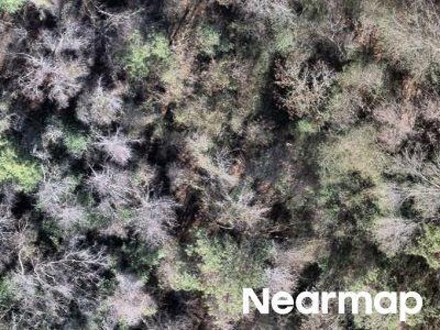 Land for sale in Macon, Bibb County