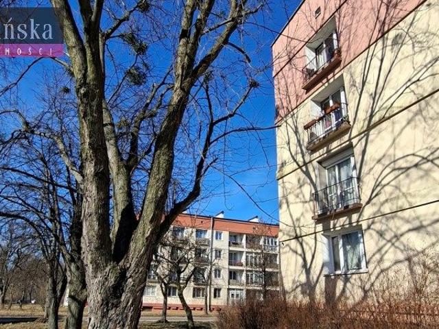 Mieszkanie do wynajęcia w Łódź, Łódzkie