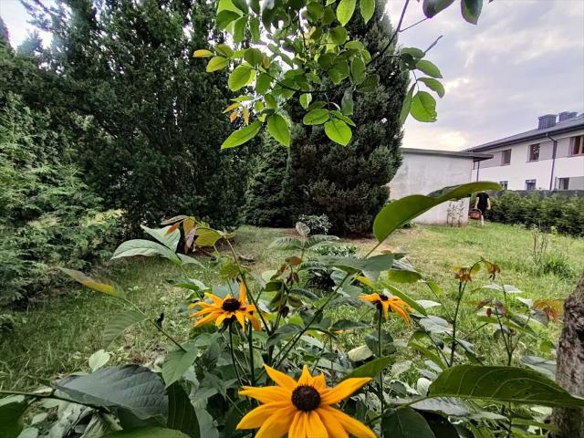 Grunt na sprzedaż w Łódź, Łódzkie