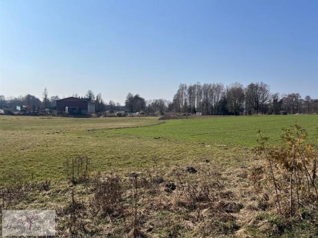 Grunt na sprzedaż w Łódź, Łódzkie