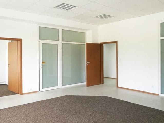 Komercyjne do wynajęcia w Łódź, Łódzkie
