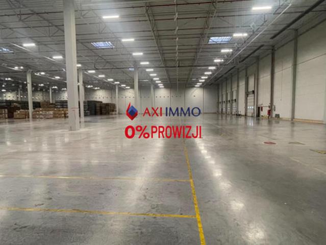 Komercyjne do wynajęcia w Łódź, Łódzkie