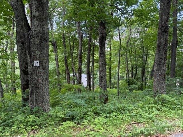 Land for sale in Haywood, North Carolina