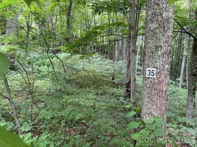 Land for sale in Haywood, North Carolina