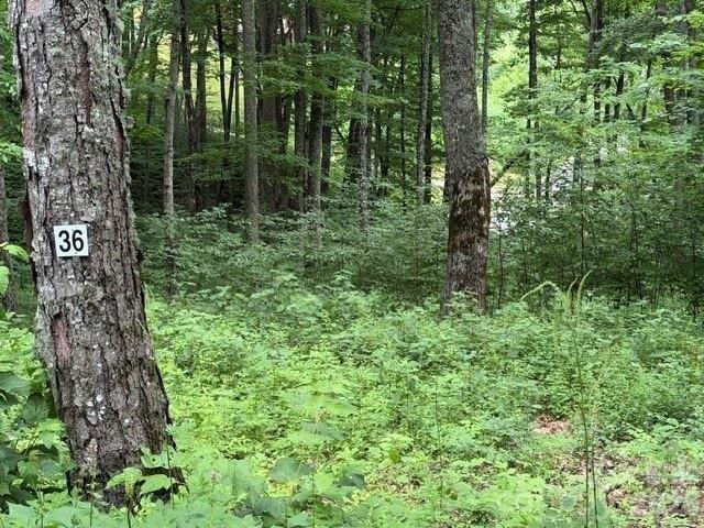 Land for sale in Haywood, North Carolina