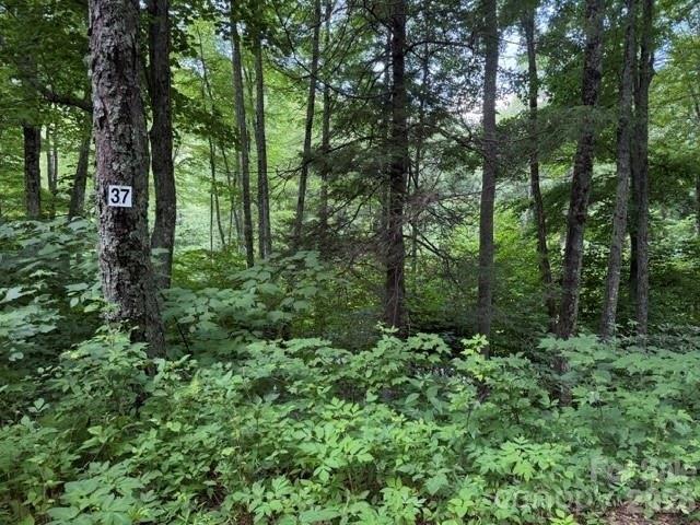 Land for sale in Haywood, North Carolina