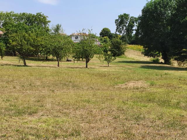 Terrain vente à Toulouse, Odars