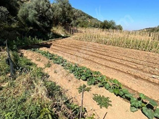 Ödemiş, İzmir içerisinde satılık mülk