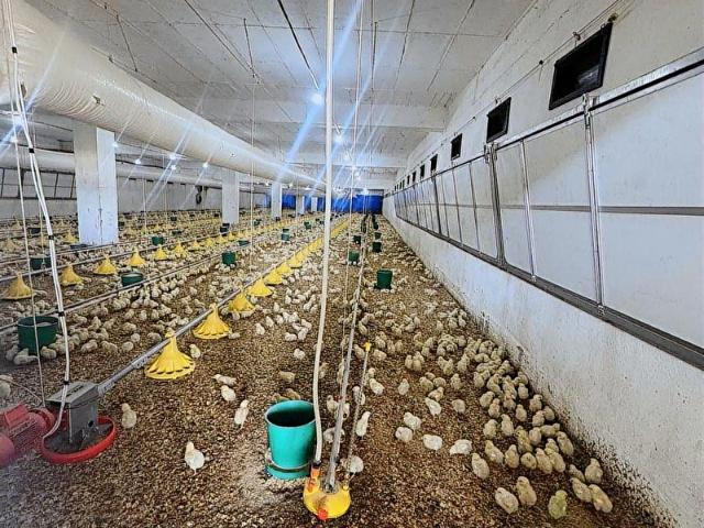 Ödemiş, İzmir içerisinde satılık Fabrika