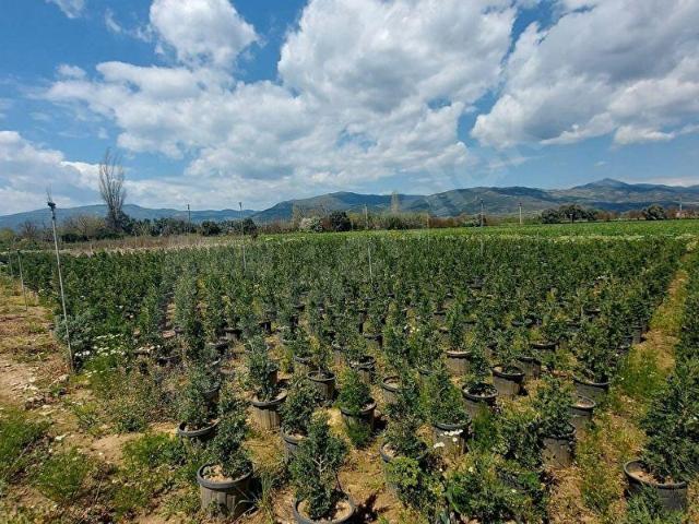 Ödemiş, İzmir içerisinde satılık Arsa