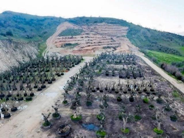 Ödemiş, İzmir içerisinde satılık Arsa