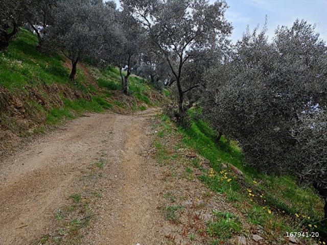 Ödemiş, İzmir içerisinde satılık mülk