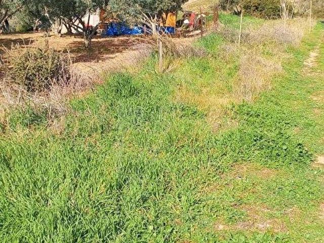 Ödemiş, İzmir içerisinde satılık mülk