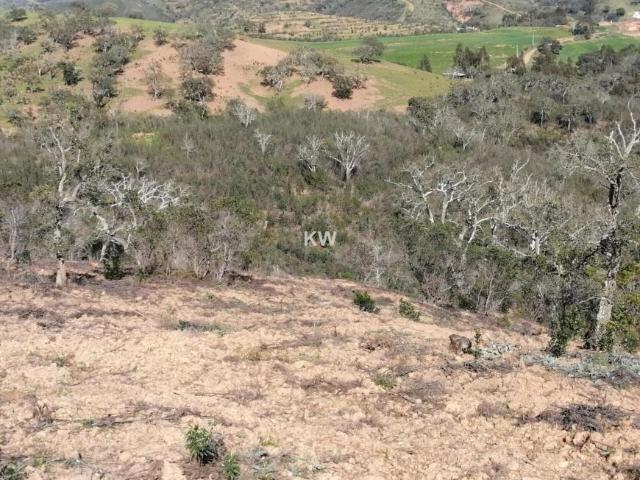 Terreno venda em Odemira, Beja