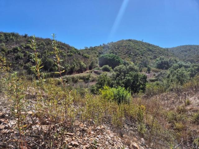 Terreno venda em Odemira, Beja