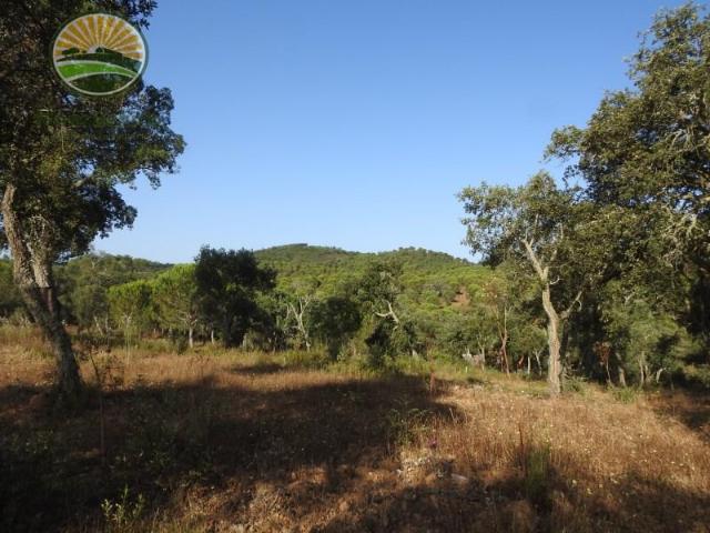Terreno venda em Odemira, Beja