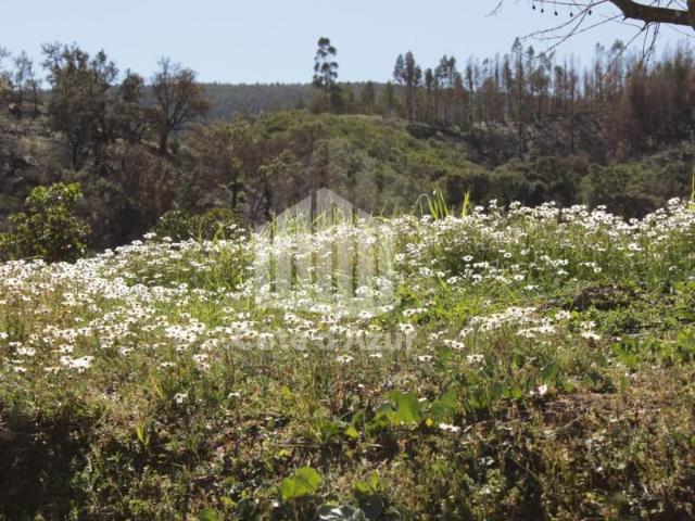 Terreno venda em Saboia, Odemira