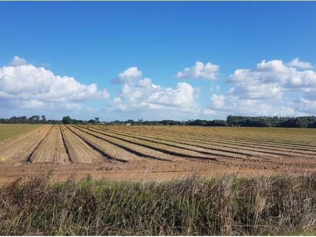Terreno venda em Longueira, Odemira