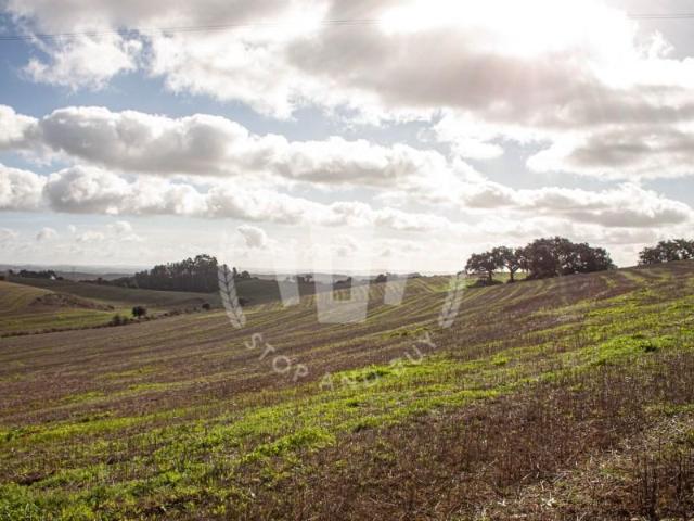 Terreno venda em Odemira, Beja